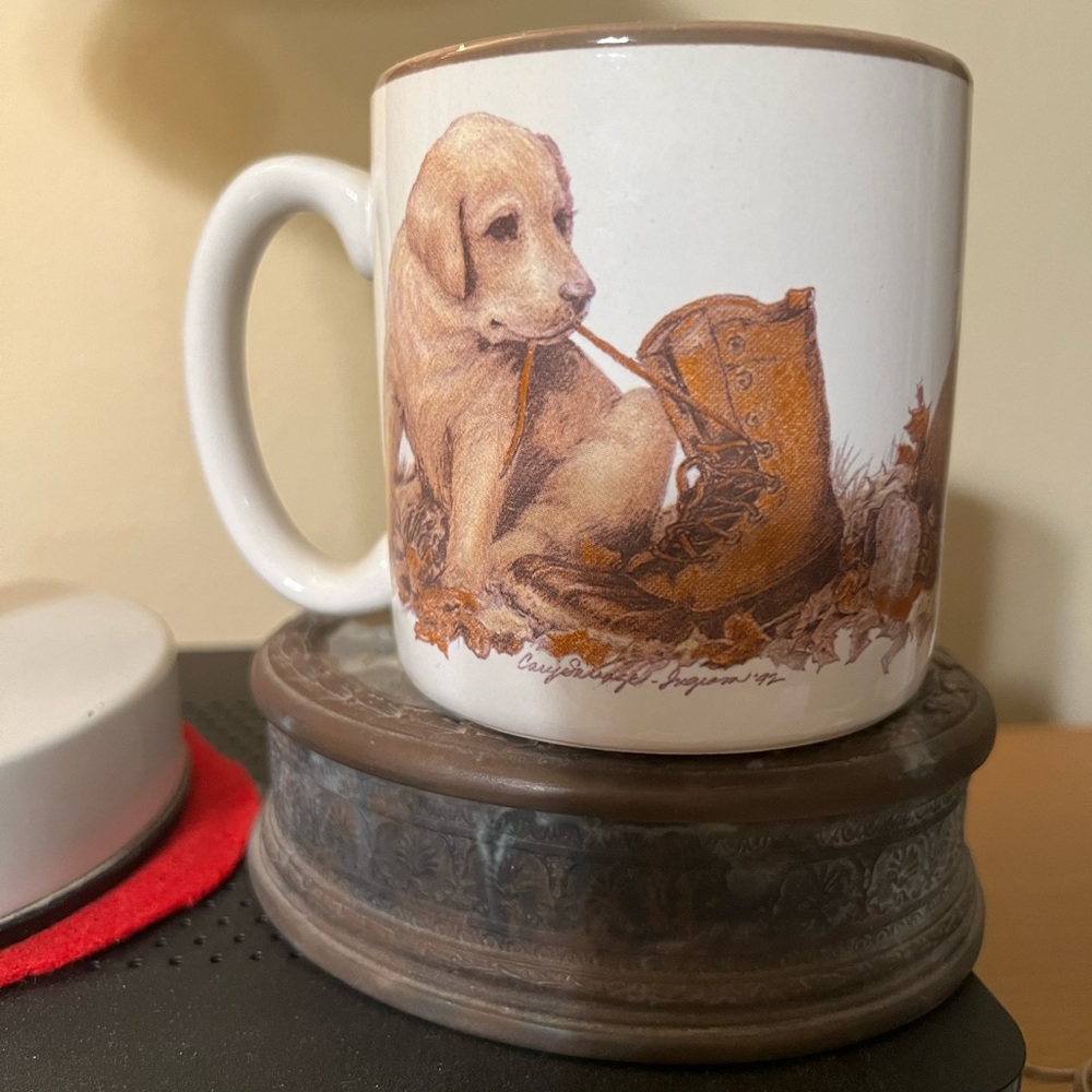 Labrador cup like new - Picture 2 of 3
